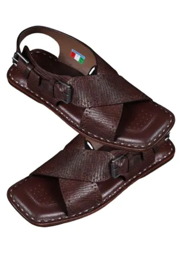 Biden Lizard-Brown-40