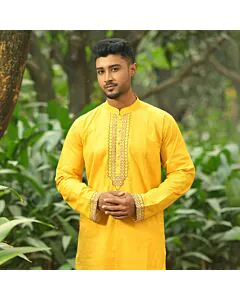 Sunlit Majesty Embroidered Punjabi