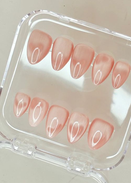 Blush Nude Glossy Press-On Nails – Almond Stiletto Style