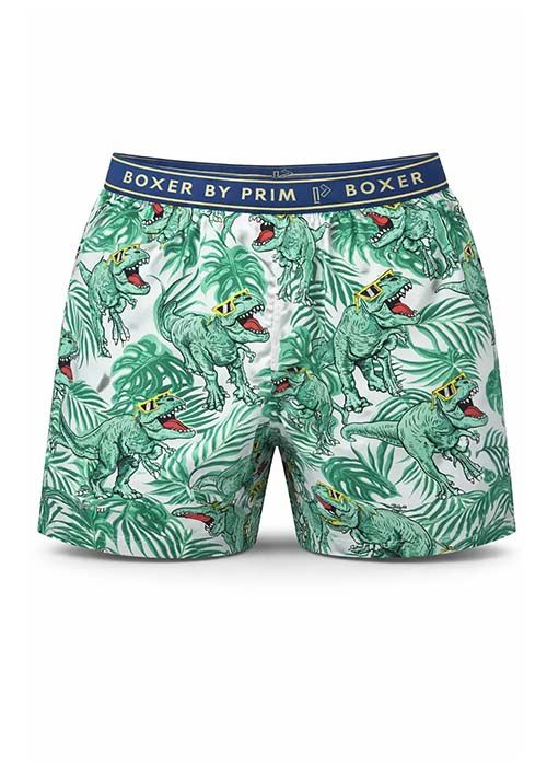 Cool Dinosaur Cotton Boxer Shorts