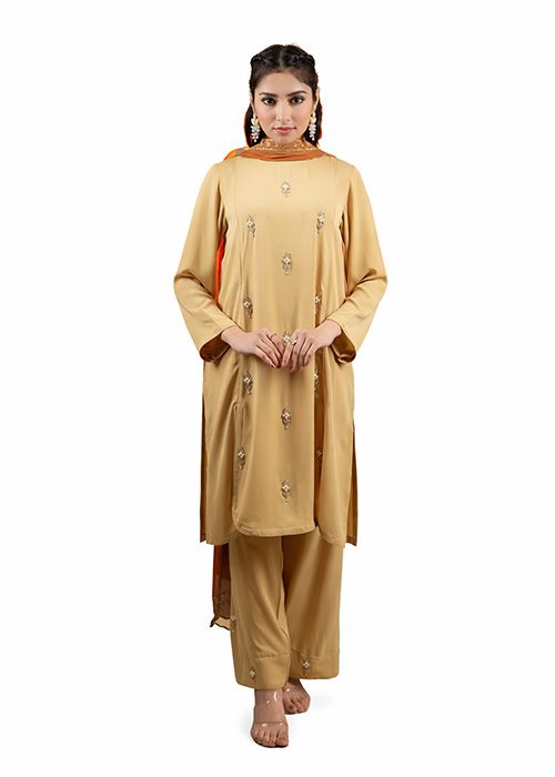 Beige Silk Embroidered Salwar Kameez Set